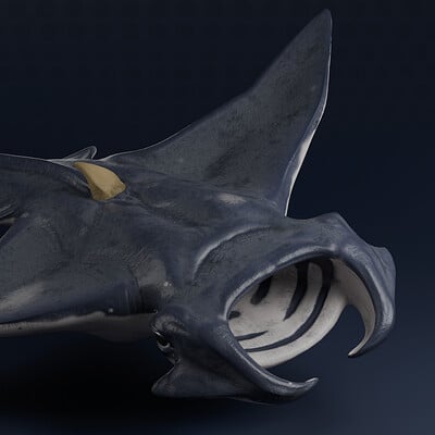 3D Model from a Mantaray